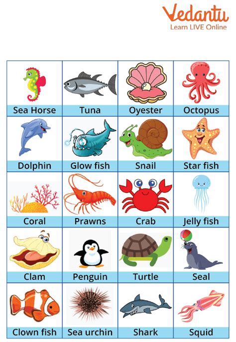 fished|fished meaning: Caught aquatic animals from water .